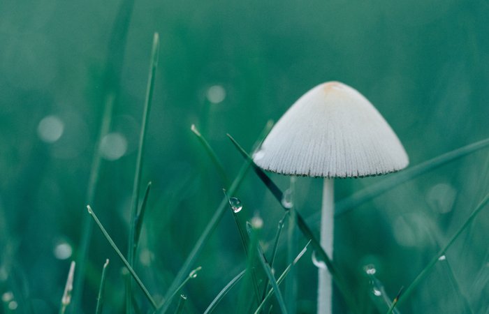 福鹿会·F6(中国)最新官方网站